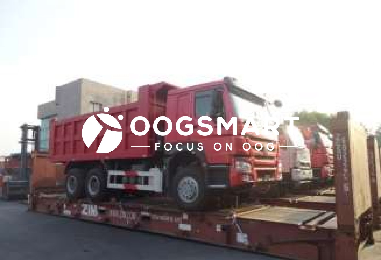 SHA--GEORGETOWN 11X40FR