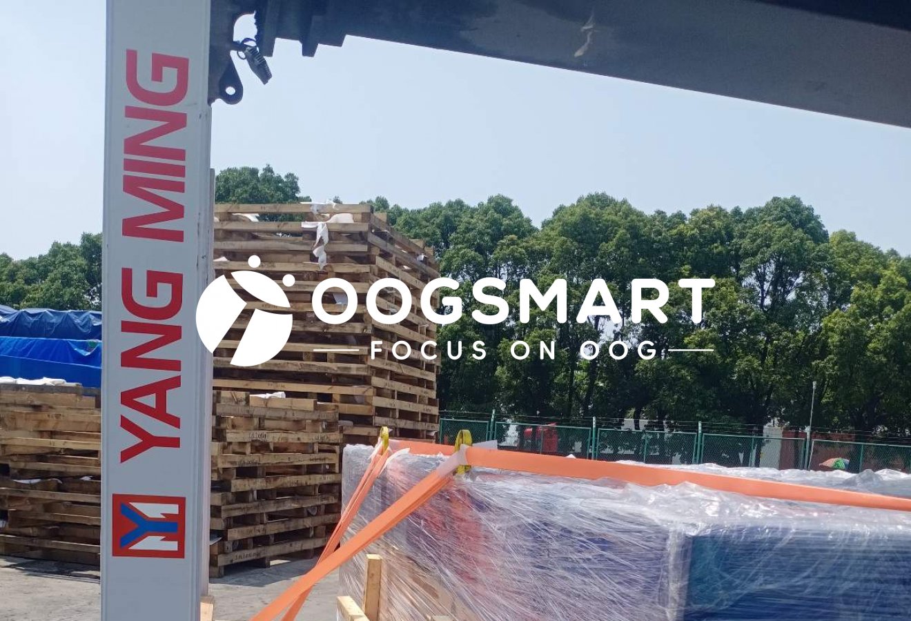 SHA--MELBOURNE 1X20FR 轮胎