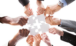 Business Cooperation